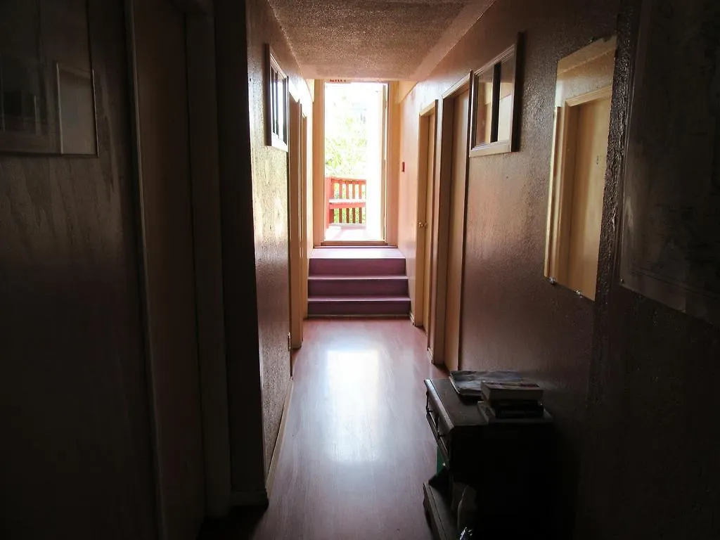 Turtle Hostel Victoria