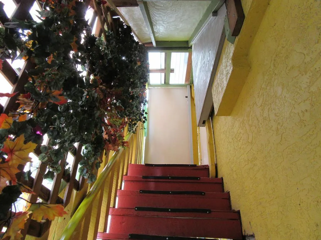Turtle Hostel Victoria Canada