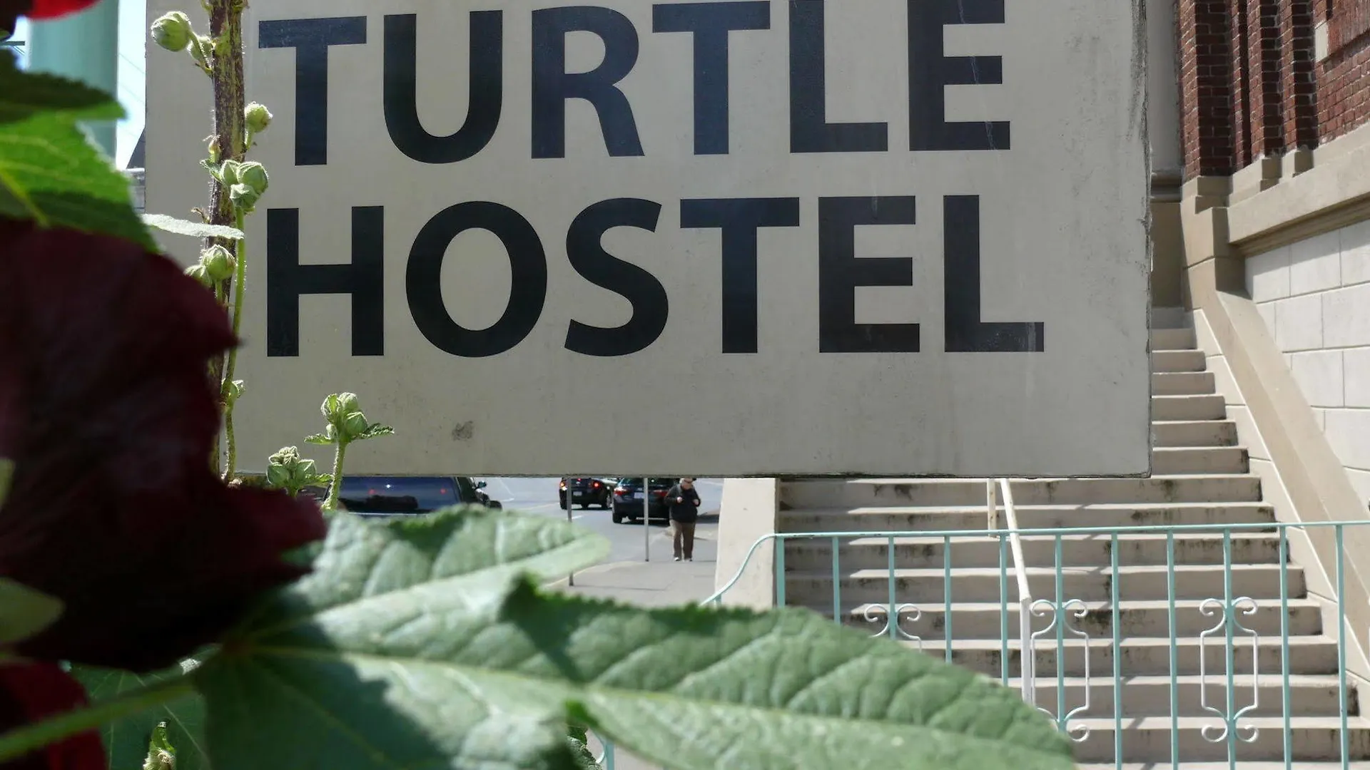 Turtle Hostel Victoria
